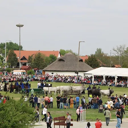 Проживание в семье Hortobagyi Kemences Vendeghaz