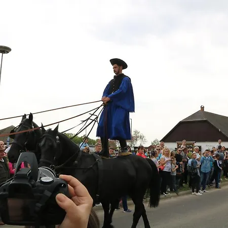 Hortobagyi Kemences Vendeghaz Проживание в семье