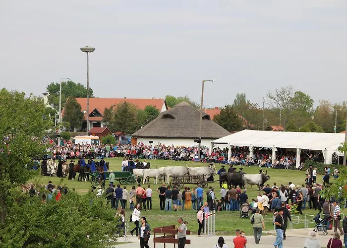 Ubytování v soukromí Hortobagyi Kemences Vendeghaz