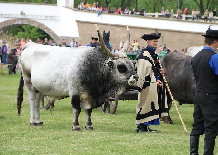 Ubytování v soukromí Hortobagyi Kemences Vendeghaz Hortobágy